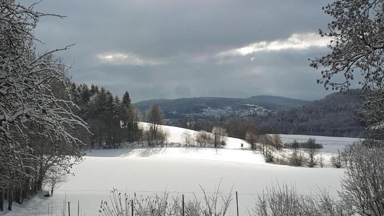 Ferienwohnung Mies Waldkirchen Buitenkant foto